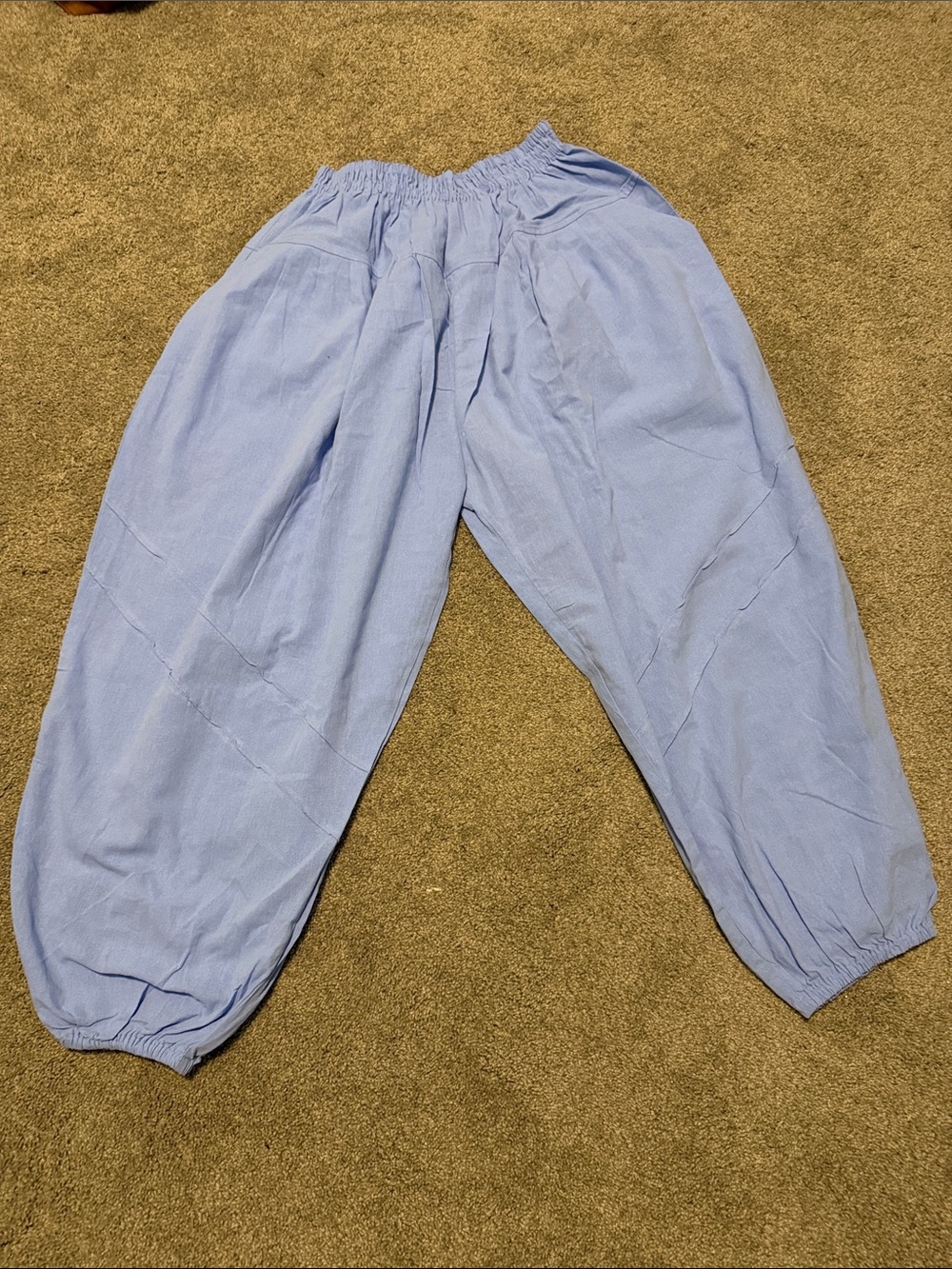 Blue Harem Pants